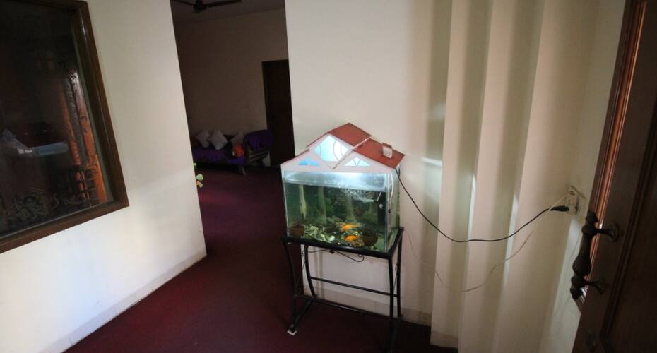 Dreamz Homestay, Bangalore 5